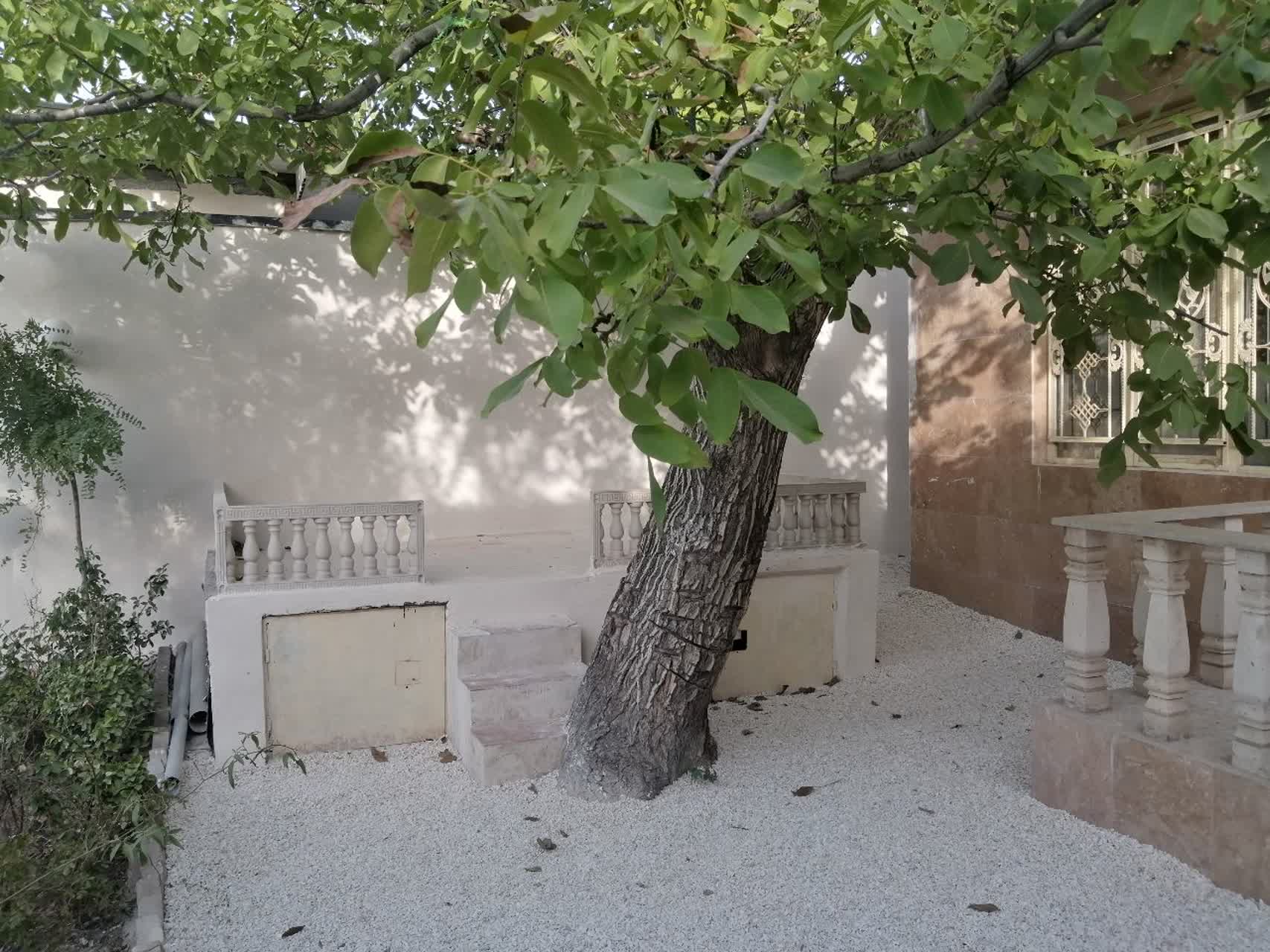 🌳 فرصت استثنایی خرید باغ در ترپاقتپه – با امکانات کامل و لوکیشن عالی!