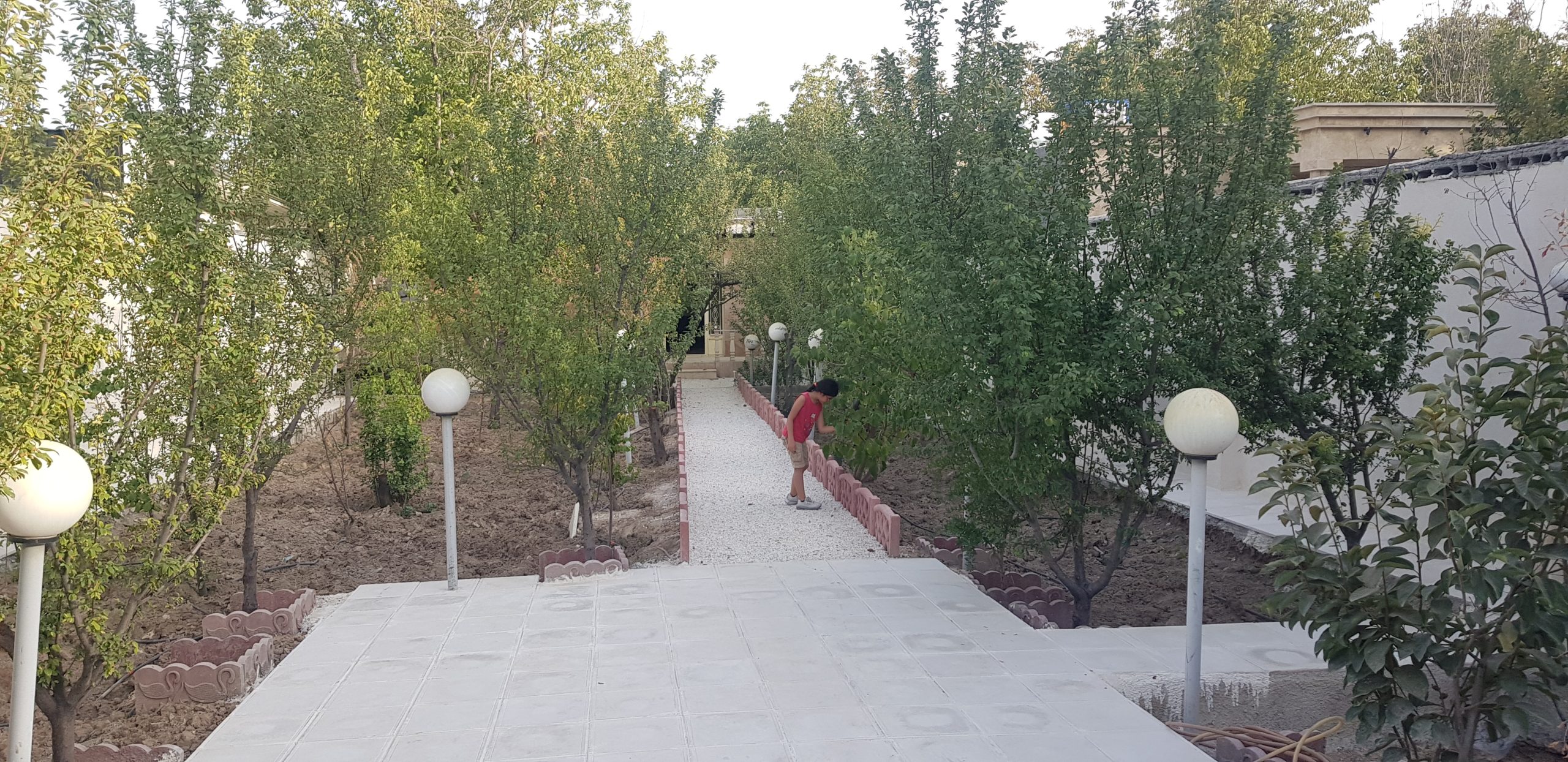 🌳 فرصت استثنایی خرید باغ در ترپاقتپه – با امکانات کامل و لوکیشن عالی!